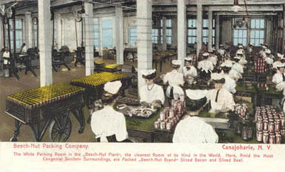 Mohawk River Bridge, Fonda, N.Y.